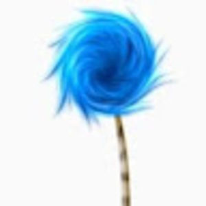 Meet your Posher, Janet